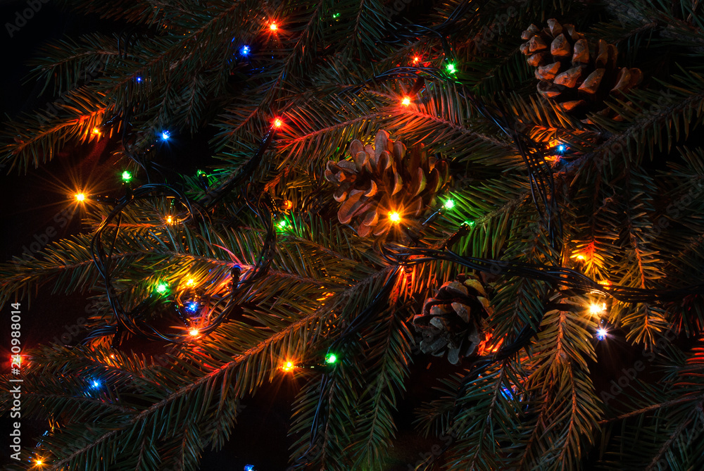 Christmas tree branch and lights Christmas tree branch and lights
