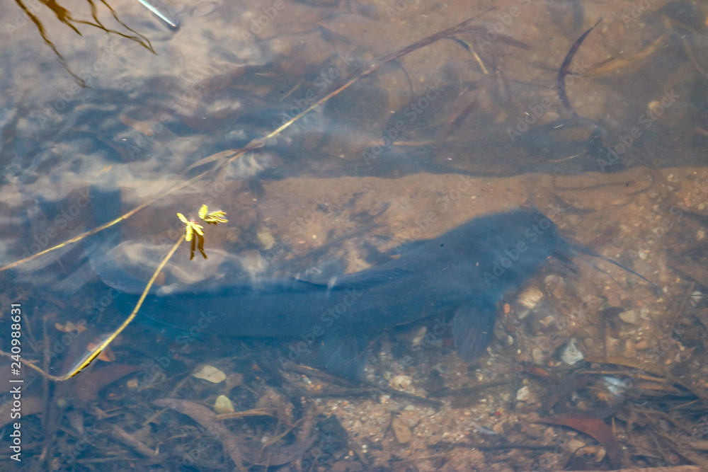 Obraz premium Natural landscape