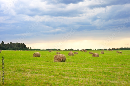 Beautiful countryside landscape on the background of a cleaned field with haystacks. Sunset.