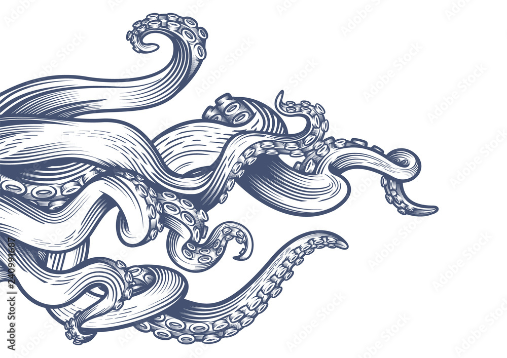 Tentacles of an octopus. Hand drawn vector illustration in