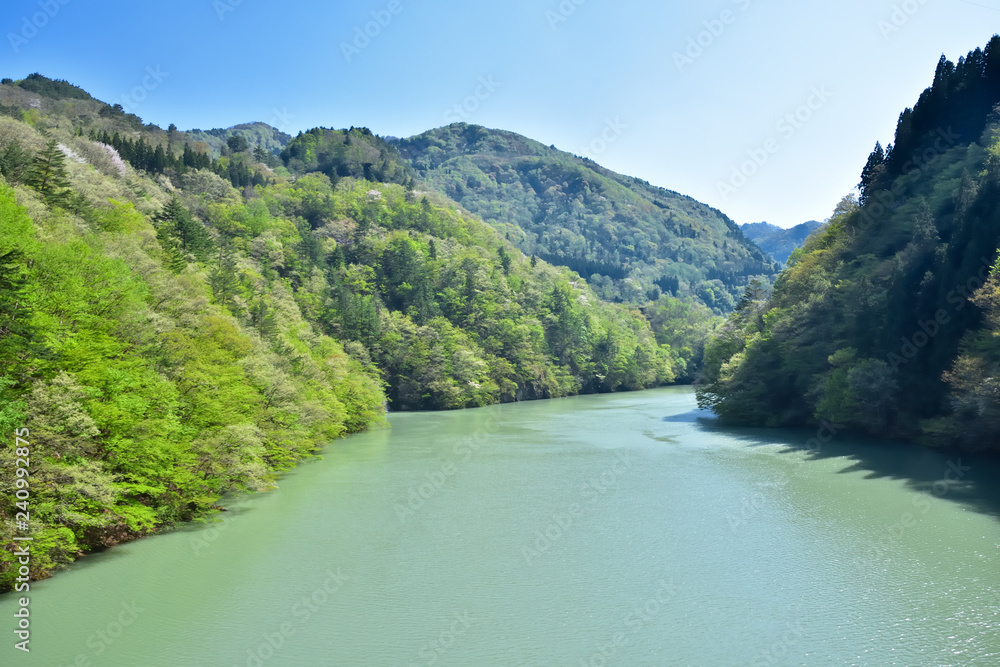福島　新緑の只見川