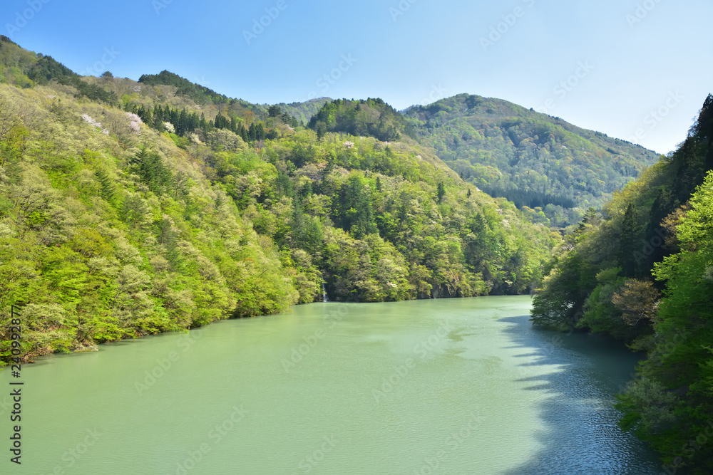 福島　新緑の只見川