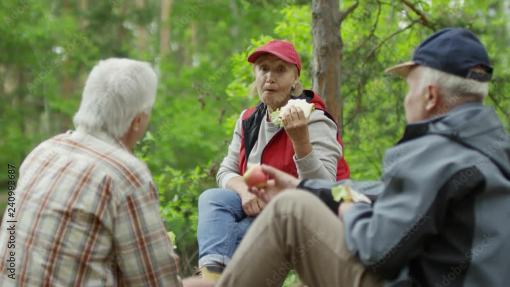 PAN shot of cheerful elderly woman and men having picnic after long hike in forest on summer day. They are eating sandwiches and chatting PAN shot of cheerful elderly woman and men having picnic after long hike in forest on summer day. They are eating sandwiches and chatting