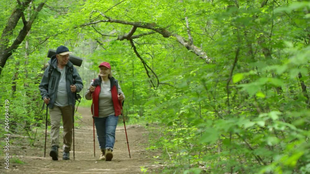 PAN shot of happy elderly couple with backpacks and trekking poles chatting walking along trail in green forest on summer day PAN shot of happy elderly couple with backpacks and trekking poles chatting walking along trail in green forest on summer day
