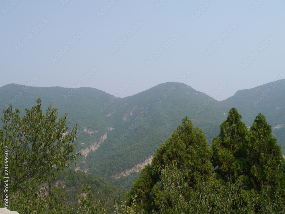 Obraz premium chinese nature