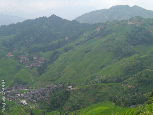 chinese nature
