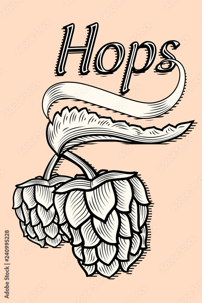 Stylized hops for beer brewing emblem Stylized hops for beer brewing emblem
