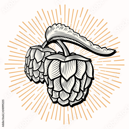 Stylized hops for beer brewing emblem
