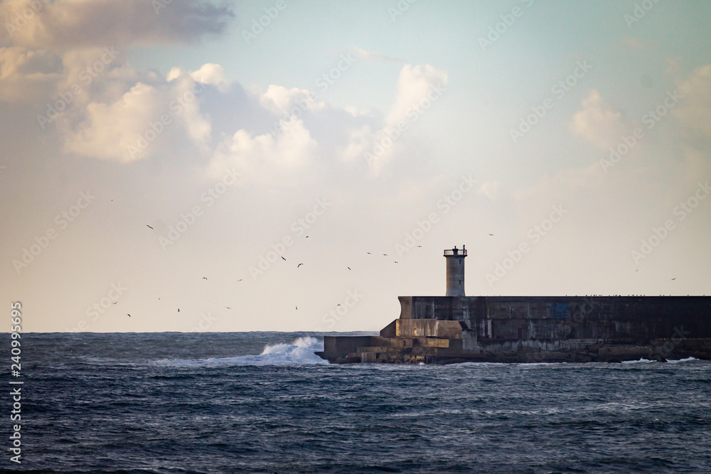Seagulls Fly around Lighthouse
