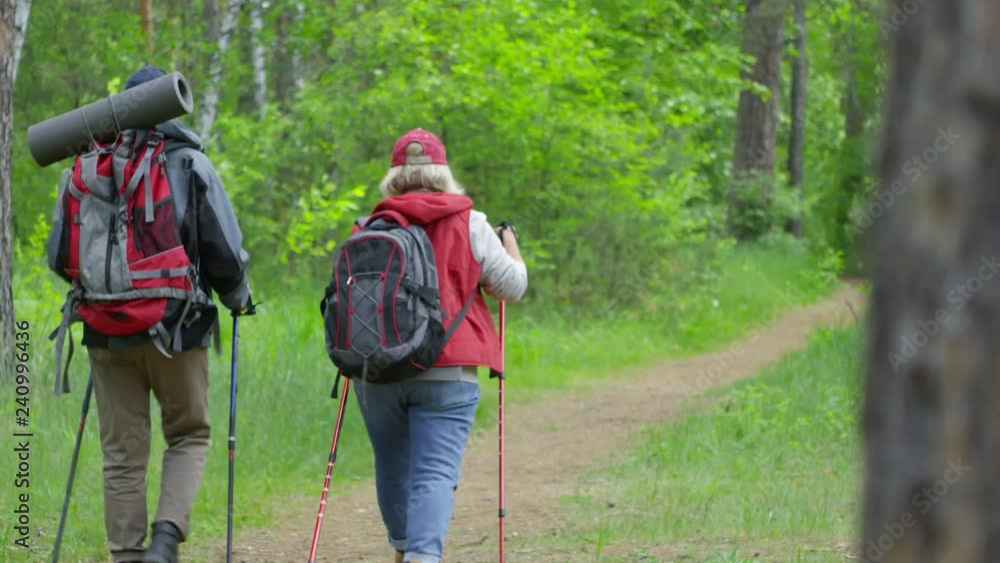 PAN shot with rear view of elderly couple with backpacks and trekking poles chatting and walking along path in forest on summer day PAN shot with rear view of elderly couple with backpacks and trekking poles chatting and walking along path in forest on summer day