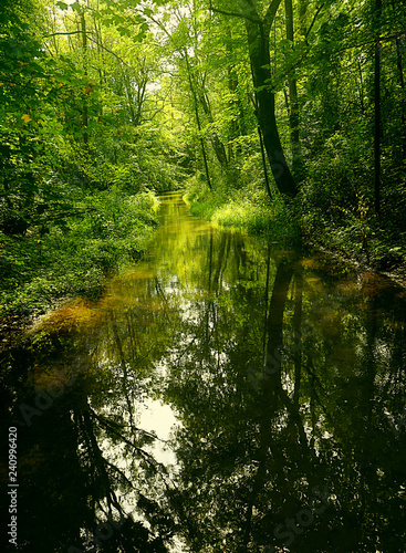 Fototapeta Naklejka Na Ścianę i Meble -  Idyllic view of Isarauen - protected environment along the Isar river in Upper Bavaria, Germany