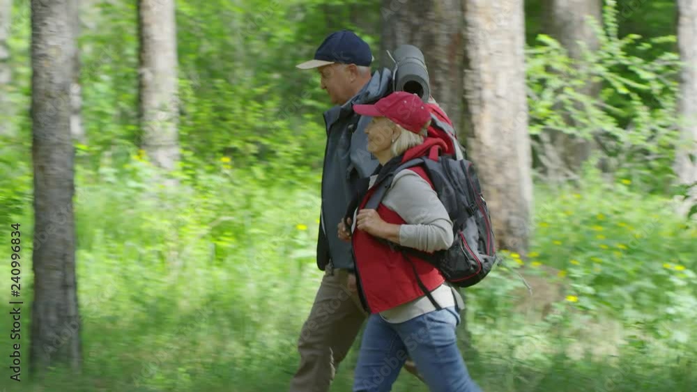 Tracking shot with tilt up of cheerful elderly couple with hiking backpacks walking along forest path and chatting on sunny summer day Tracking shot with tilt up of cheerful elderly couple with hiking backpacks walking along forest path and chatting on sunny summer day