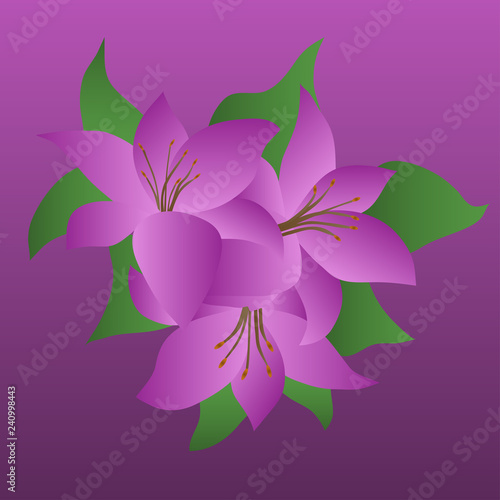 Fototapeta Naklejka Na Ścianę i Meble -  Bouquet of lilies on a purple background
