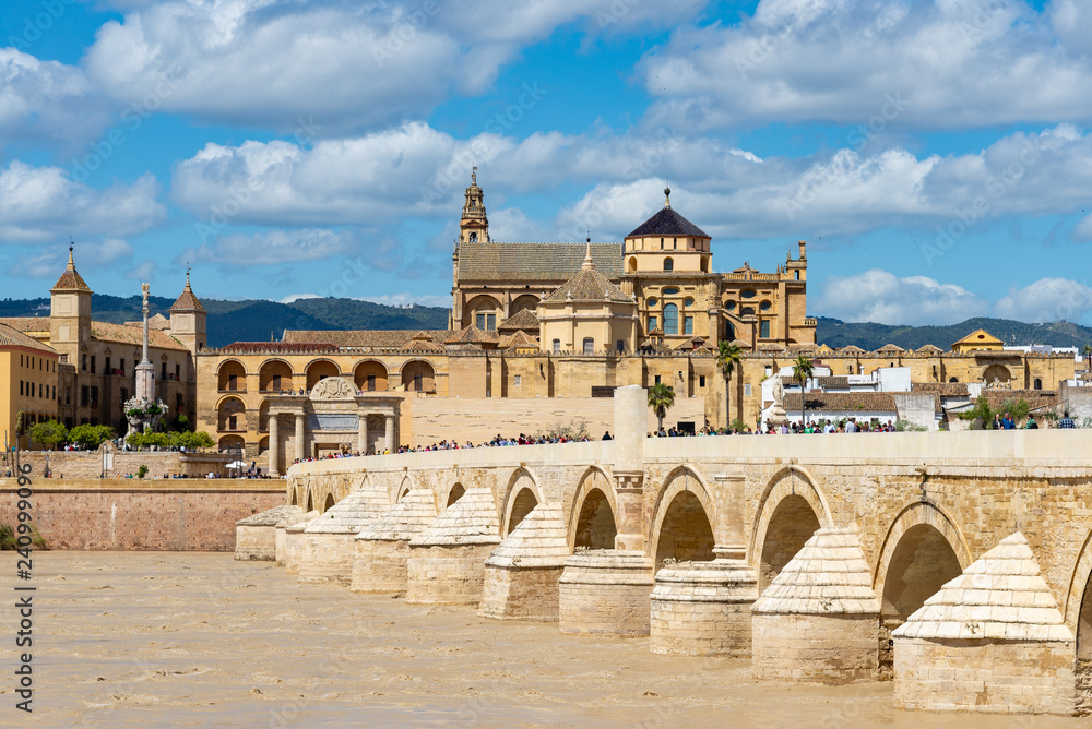 The Roman Bridge , Cordoba, Spain