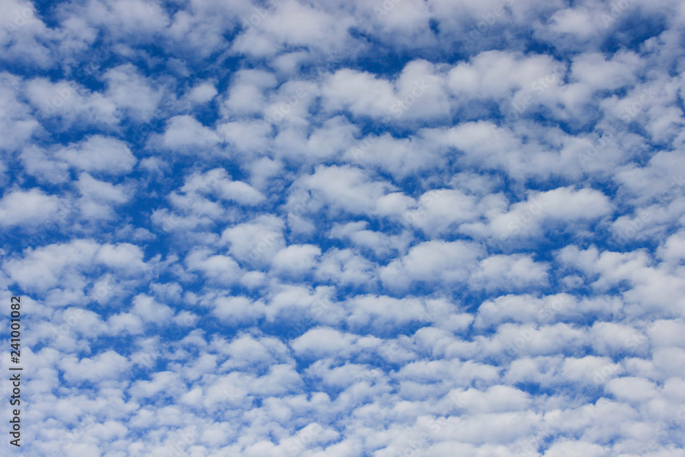 Obraz premium Cielo azul con nubes