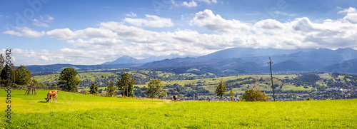 Tatry Mountains and Zakopane city surroundings