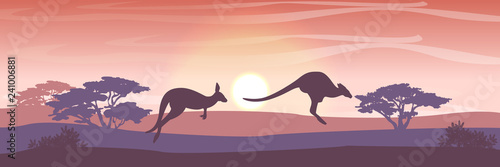 Two big red kangaroos are jumping over the Australian plain. Acacia trees and eucalyptus trees. Wild nature of Australia. Realistic vector landscape. Silhouettes of animals and plants. Travels