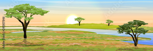 African savannah. Grass, acacia trees and river. Realistic vector landscape. The nature of Africa. Reserves and national parks.