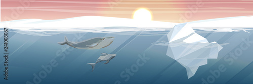 Northern underwater landscape. Iceberg and two large whale. Mom a whale and her baby whale. Vector illustration, a scene from marine life.