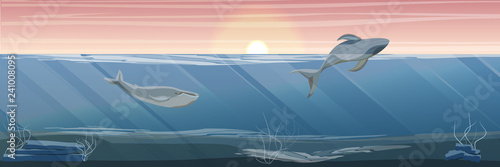 Northern underwater landscape. Two large blue whale. The whale emerges from the water. Rocky bottom with algae. Vector illustration, a scene from marine life.
