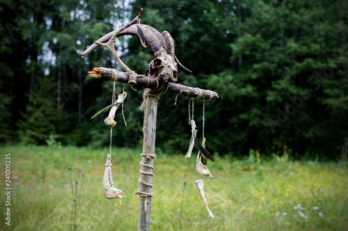 Fotografie Pagan Shrine