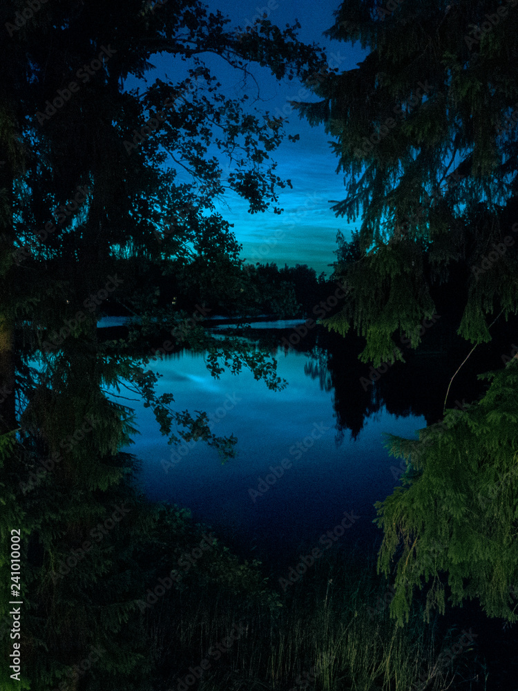 lake in forest in night