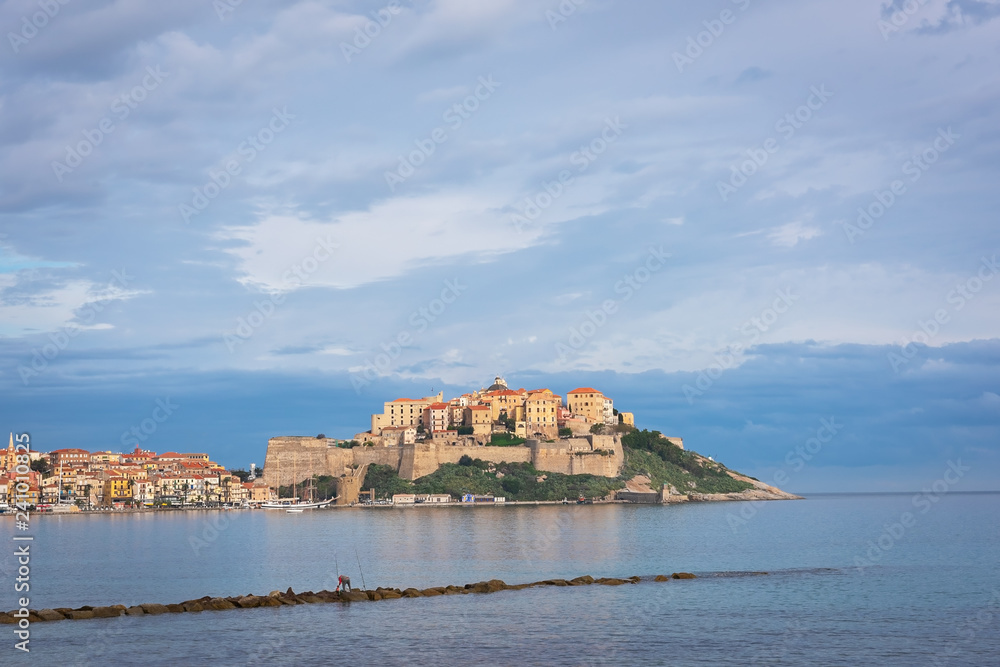 Beautiful view of the city of Calvi and the citadel from the seashore, Corsica, France