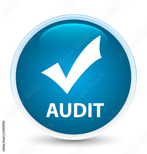 Audit (validate icon) special prime blue round button