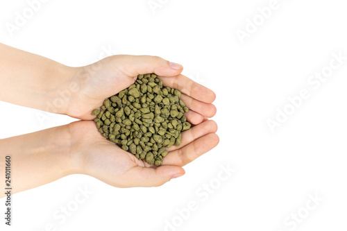 Ginseng oolong tea bunch in female hands, close up, isolated. Chinese oolong tea drink rolled in ginseng powder used for weight loss, aids digestion and health improving. photo