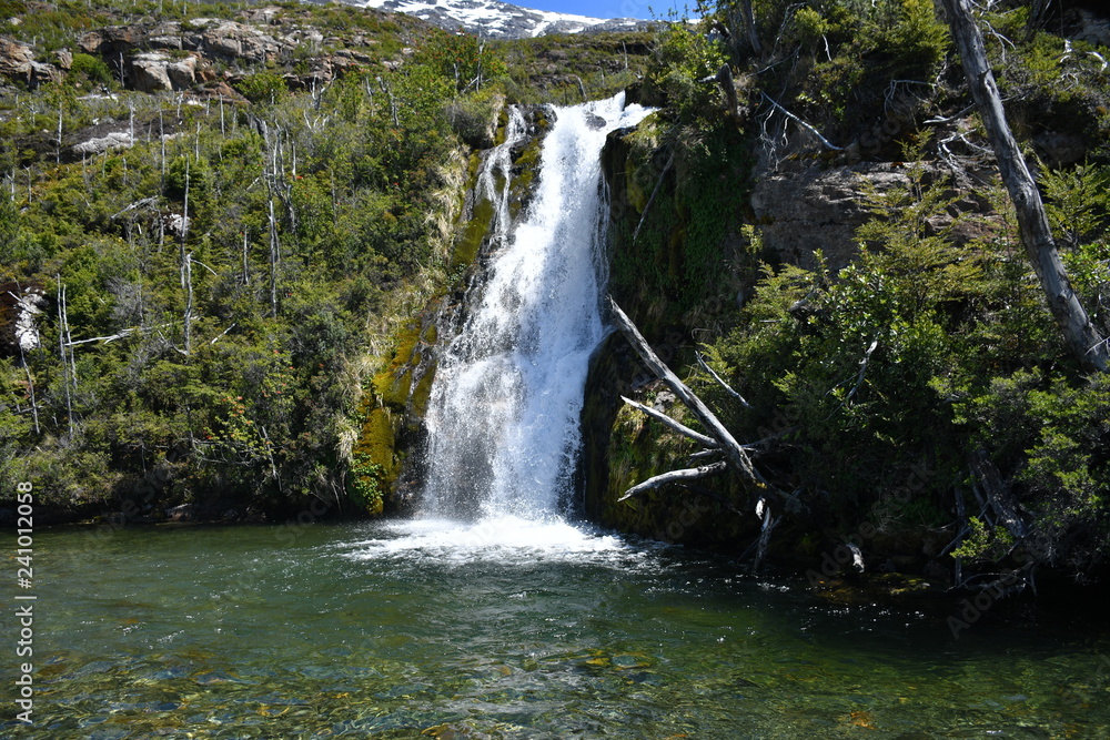 Obraz premium waterfall in forest