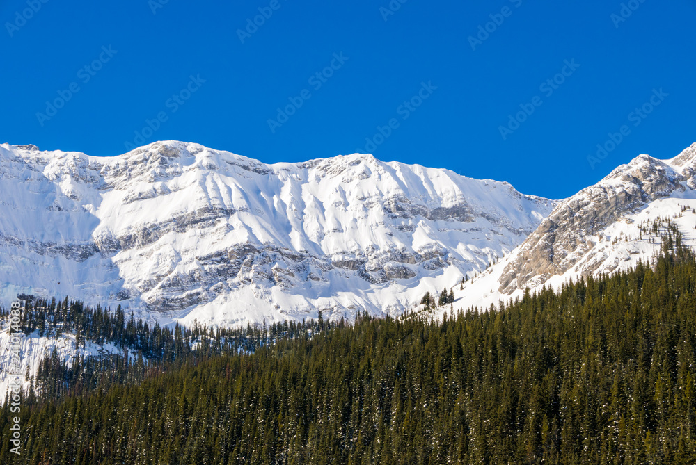 A snow covered mountain on a clear blue winter day in the Canadian Rocky Mountains at Black Prince Cirque in Peter Lougheed Provincial Park, Alberta, Canada