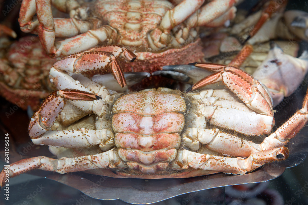 Closeup of Crab