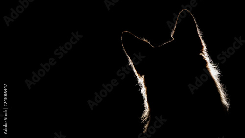 German Shepherd Silhouette Head Tilt