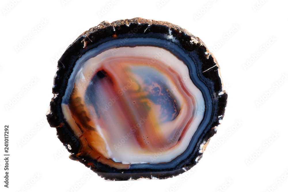 Macro mineral stone Yellow, brown Agate breed a white background close up Macro mineral stone Yellow, brown Agate breed a white background close up