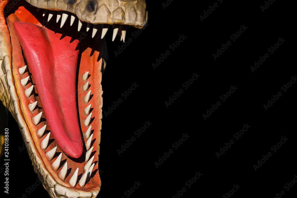 image to crop