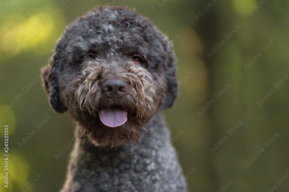 Truffle search Truffle search
