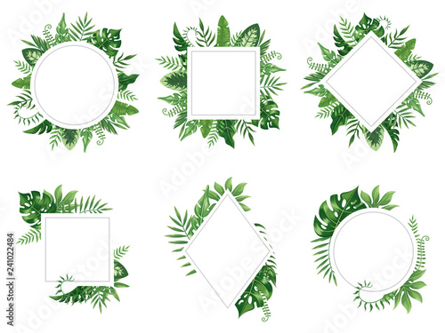 Exotic leaf frame. Spring leaves card, tropical tree frames and vintage floral jungle border isolated vector set