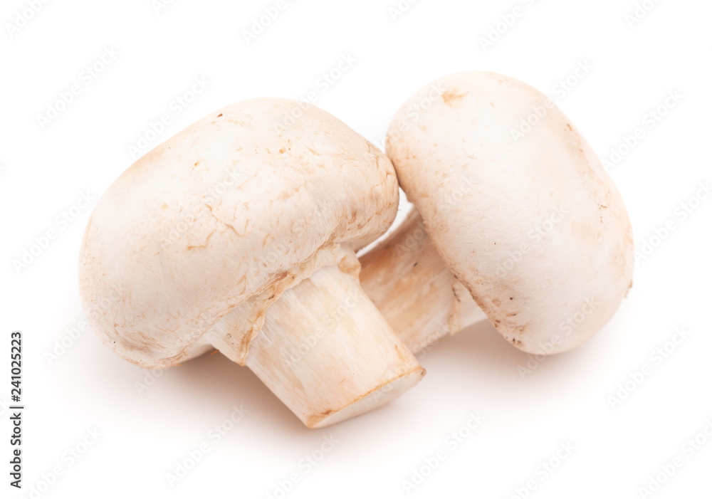 Mushrooms Isolated on a White Background Mushrooms Isolated on a White Background