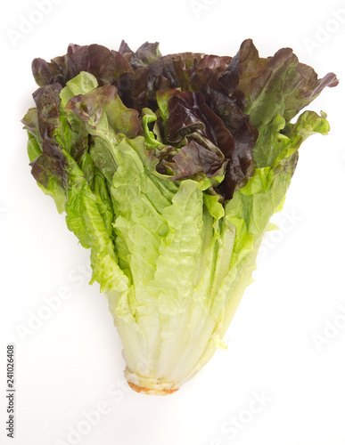 Fotografija Head of Red Leaf Lettuce on a White Background