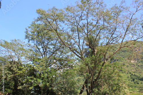 Paisaje rural del occidente de Antioquia, Colombia