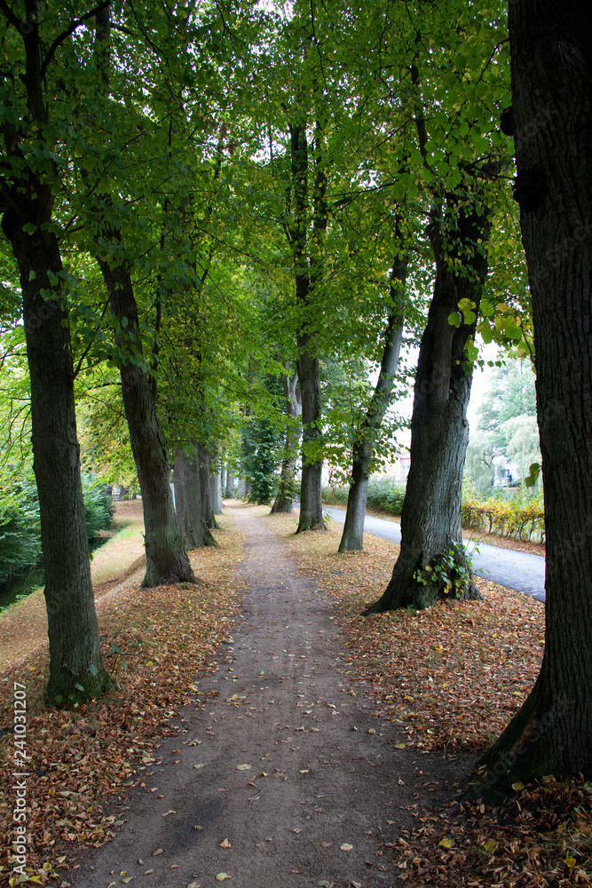 blick ablick auf einen fußweg umringt von bäumen in meppen emsland deutschland fotografiert während einer wanderung in der natur in farbe blick ablick auf einen fußweg umringt von bäumen in meppen emsland deutschland fotografiert während einer wanderung in der natur in farbe