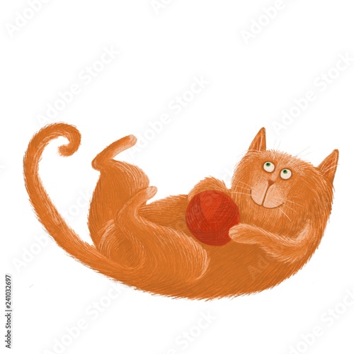 cat animal  illustration beautiful playful