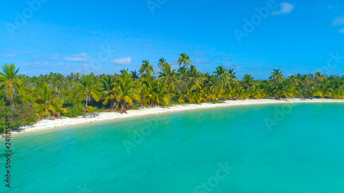 DRONE Lush green exotic vegetation covers the beautiful remote island in Pacific