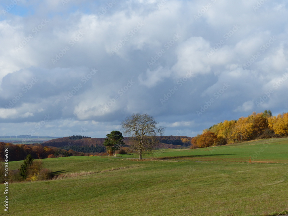 Fototapeta premium Landschaften im Herbst bei Morshausen / Hunsrück