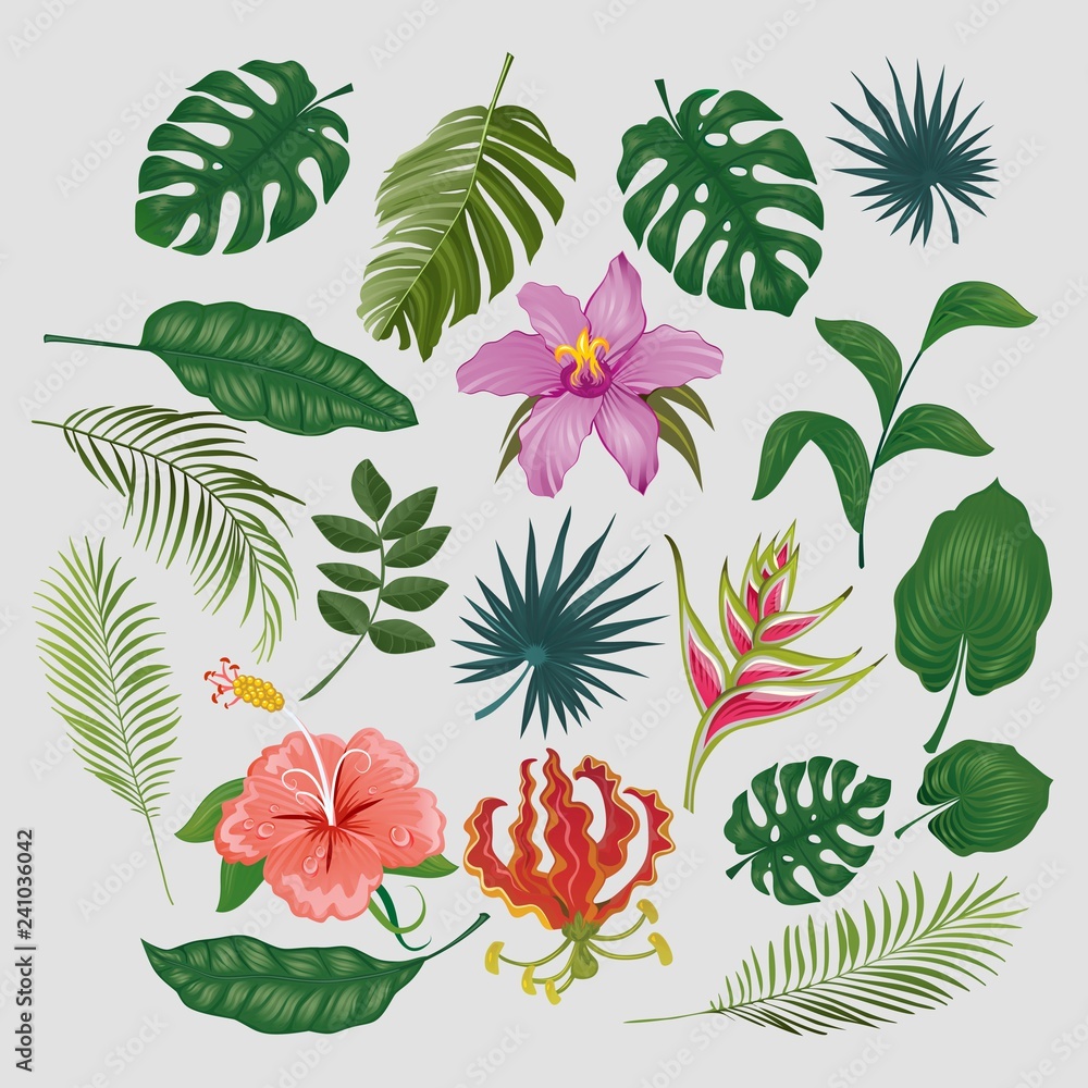 Cute tropical stickers and labels. Summer set of leaves and flowers. Vector illustration