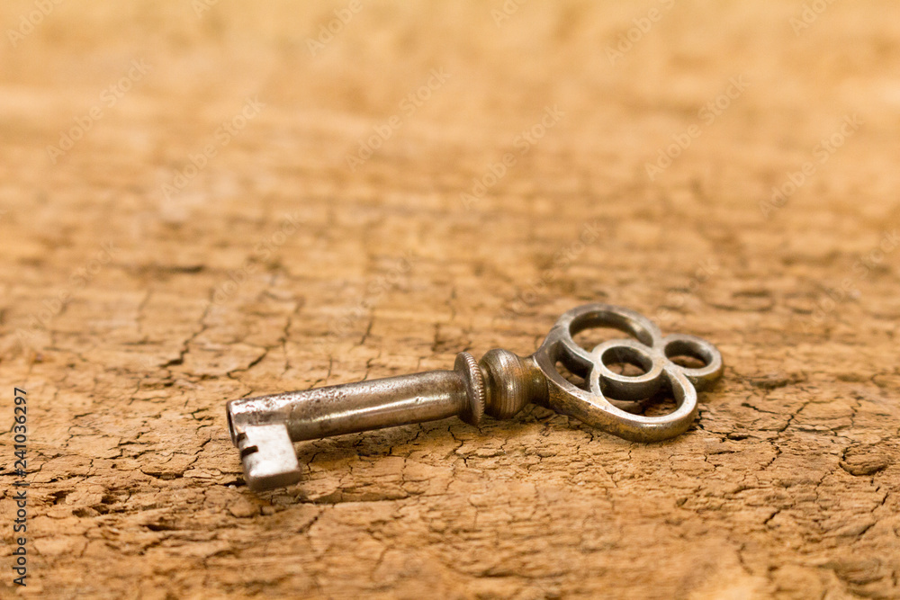 Skeleton Key on Barn Wood with Room for Text Skeleton Key on Barn Wood with Room for Text