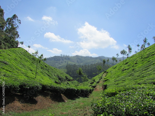 green hills