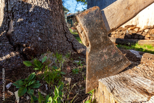 Axe in stump. Axe ready for cutting timber. Woodworking tool. Lumberjack axe in wood, chopping timber. Travel, adventure, camping gear, outdoors items