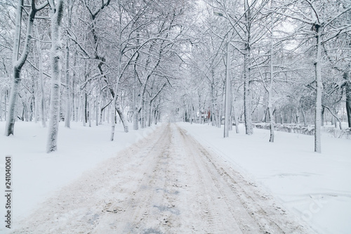 snowy winter park © fedorovekb