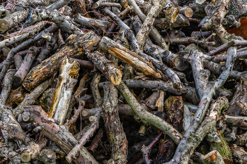 Pile of wood, tree branch or log,